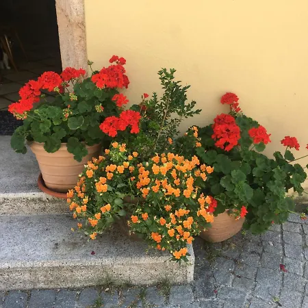 Haus Schlosskeller Affittacamere