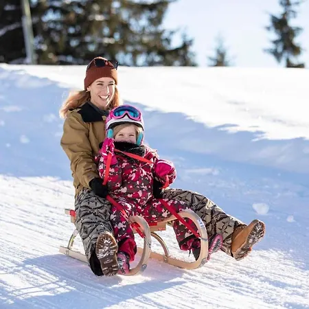 Haus Schlosskeller Rattenberg (Tyrol)