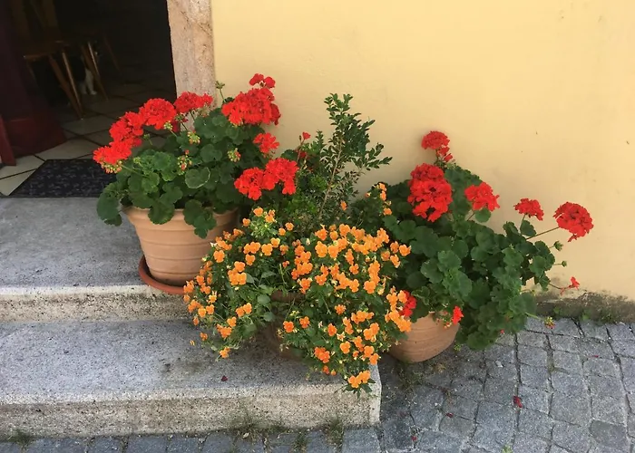 Haus Schlosskeller Guest house