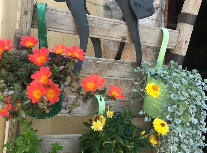 Haus Schlosskeller Guest house