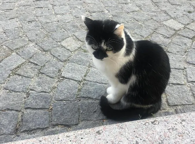 Haus Schlosskeller 3*