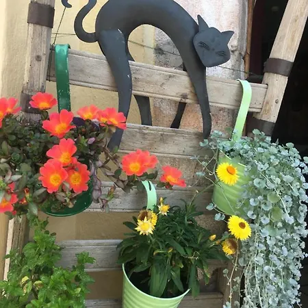 Haus Schlosskeller Guest house